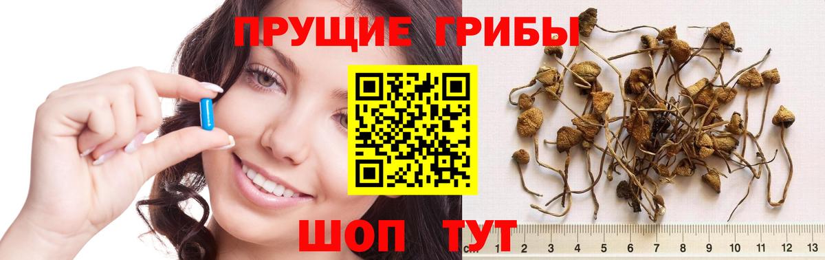 Псилоцибиновые грибы Cubensis  Вход с VPN  Гай  Псилоцибиновые грибы Magic Shrooms 