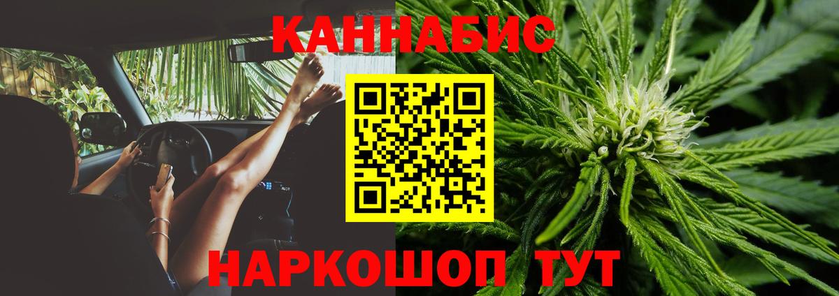 Гай  Конопля план  Каннабис гибрид  Шишки марихуана конопля  Вход с VPN 